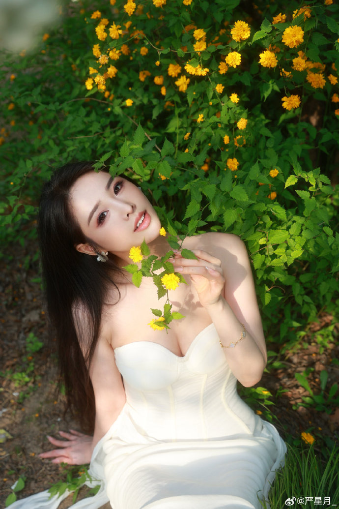 风骚律师